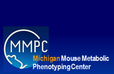 Michigan Mouse Metabolic Phenotyping Center (MMPC) Animal Phenotyping Core