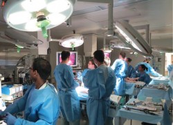 an image of an Animal Surgery Operating Room at the U-M Medical School